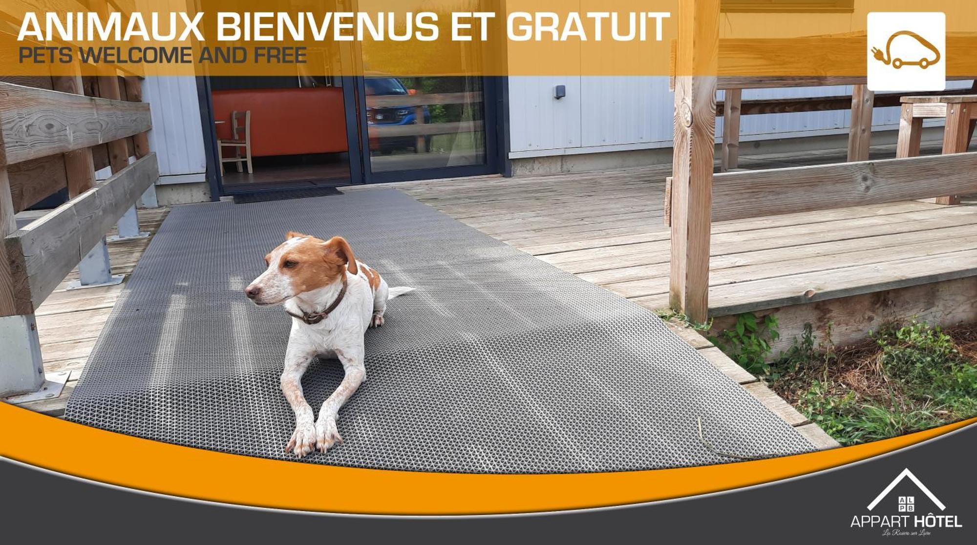 Appart'Hotel Les Pres Blondeau - 1 A 10 Personnes - 3 Chambres - Terrasse - Parking Prive - Wifi Les Rosiers Kültér fotó